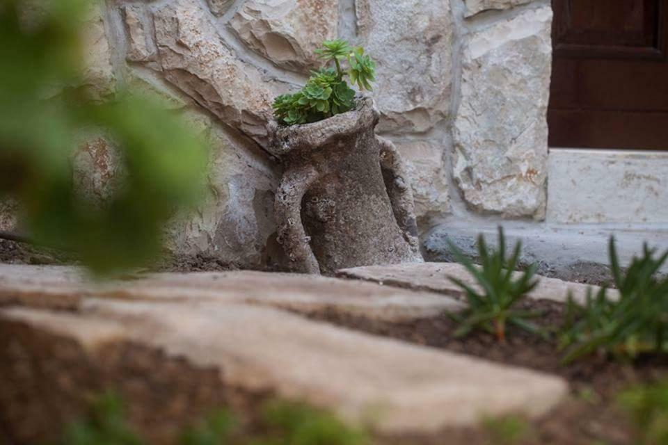 Apartment Domina Βις Εξωτερικό φωτογραφία